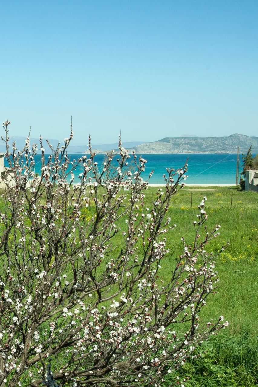 Phoenix Beachside Condos Коккони Экстерьер фото
